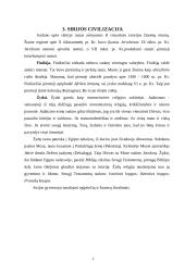 Senųjų civilizacijų kultūra ir mokslas 13 puslapis