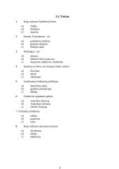 Senųjų civilizacijų kultūra ir mokslas 14 puslapis