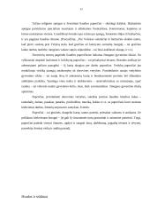 Senųjų papročių įtaka vaikų auklėjimui 11 puslapis