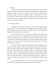 Senųjų papročių įtaka vaikų auklėjimui 5 puslapis