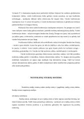 Sinchroninis mokymas Lietuvoje 11 puslapis