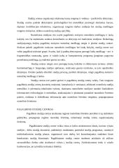 Sinchroninis mokymas Lietuvoje 12 puslapis