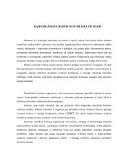 Sinchroninis mokymas Lietuvoje 7 puslapis