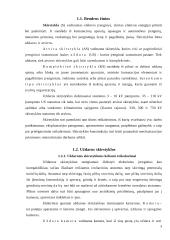 Elektros energijos skirstyklos 3 puslapis