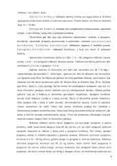 Elektros energijos skirstyklos 4 puslapis