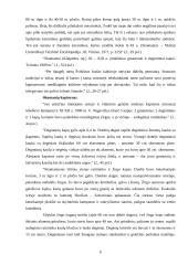 Skomantai 6 puslapis