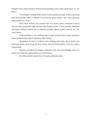 Skomantai 7 puslapis