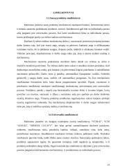 Smulkinimo įrengimai 13 puslapis