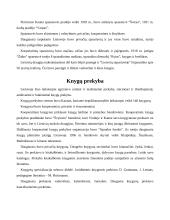 Spaudos draudimo panaikinimas 3 puslapis