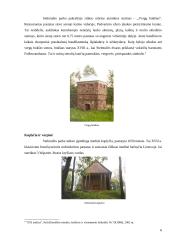 Stelmužės galiūno paunksmėje 6 puslapis