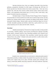 Stelmužės galiūno paunksmėje 9 puslapis