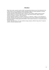 Subkultūrų pasaulis 12 puslapis