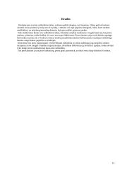 Subkultūrų pasaulis 13 puslapis