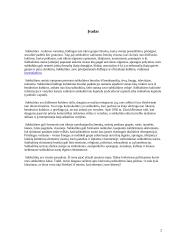 Subkultūrų pasaulis 2 puslapis