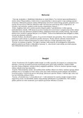 Subkultūrų pasaulis 7 puslapis