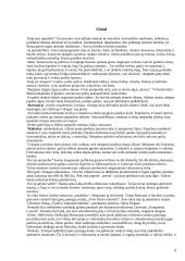 Subkultūrų pasaulis 9 puslapis