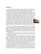 Suomijos politika ir ekonomika 2 puslapis