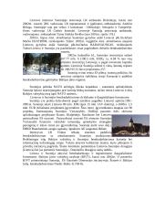 Suomijos politika ir ekonomika 13 puslapis