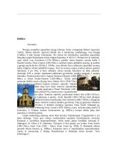 Suomijos politika ir ekonomika 17 puslapis