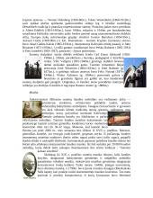 Suomijos politika ir ekonomika 19 puslapis