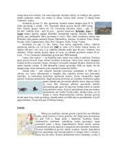 Suomijos politika ir ekonomika 3 puslapis