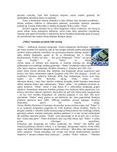 Suomijos politika ir ekonomika 8 puslapis