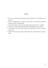 Sveikos širdies programa 11 puslapis