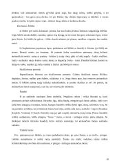 Šaltojo meto šventės. Kūčios 10 puslapis