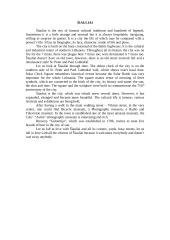 Šiauliai city 4 puslapis