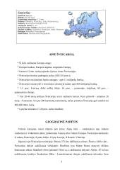 Šveicarijos pristatymas 3 puslapis