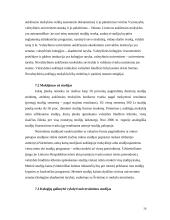 Švietimo ir aukštojo mokslo politika Lietuvoje 20 puslapis