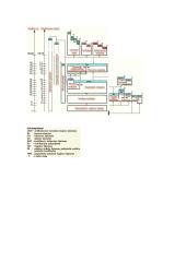 Švietimo politikos samprata ir raida Lietuvoje 12 puslapis