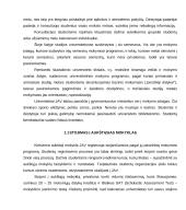 Švietimo sistema Jungtinėse Amerikos Valstijose 4 puslapis