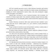 Švietimo sistema Jungtinėse Amerikos Valstijose 8 puslapis