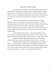 Švietimo sistema kaip ugdymo sudedamoji dalis 2 puslapis