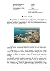 Talino uostai 5 puslapis