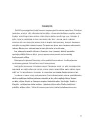 Talkos senovės Lietuvoje 11 puslapis