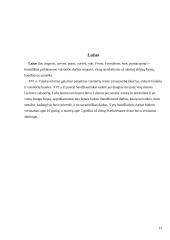 Talkos senovės Lietuvoje 12 puslapis