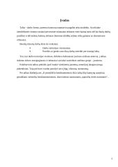 Talkos senovės Lietuvoje 3 puslapis