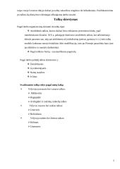 Talkos senovės Lietuvoje 5 puslapis