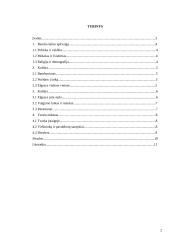 Tarpkultūrinė komunikacija ir kultūra Anglijoje 2 puslapis