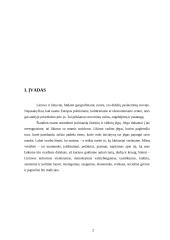 Tarptautiniai kultūriniai ryšiai 2 puslapis