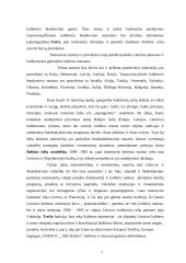 Tarptautiniai kultūriniai ryšiai 7 puslapis