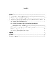 Konstitucinė žmogaus teisių bei laisvių apsauga