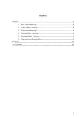 Tautinių mažumų kultūros Lietuvoje 2 puslapis