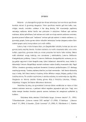 Tautinių mažumų kultūros Lietuvoje 3 puslapis