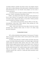 Tautinių mažumų kultūros Lietuvoje 8 puslapis