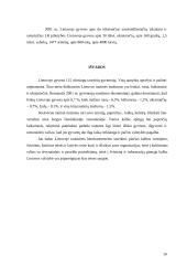 Tautinių mažumų kultūros Lietuvoje 10 puslapis