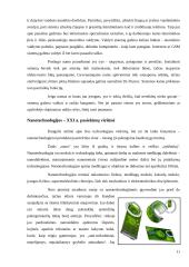 Technologijų susiliejimas 12 puslapis