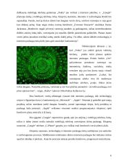 Technologijų susiliejimas 7 puslapis